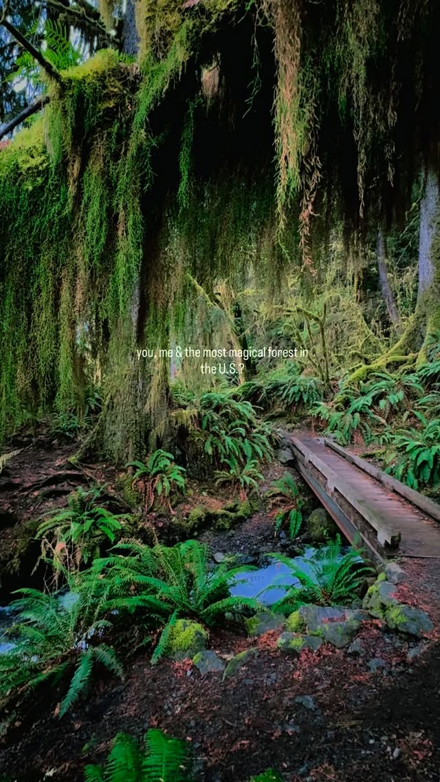 Karmen Cook | Hikes & Adventure Travel, Fairholme Campground