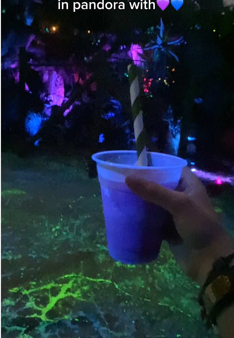 brilieve_in_magic, Epcot