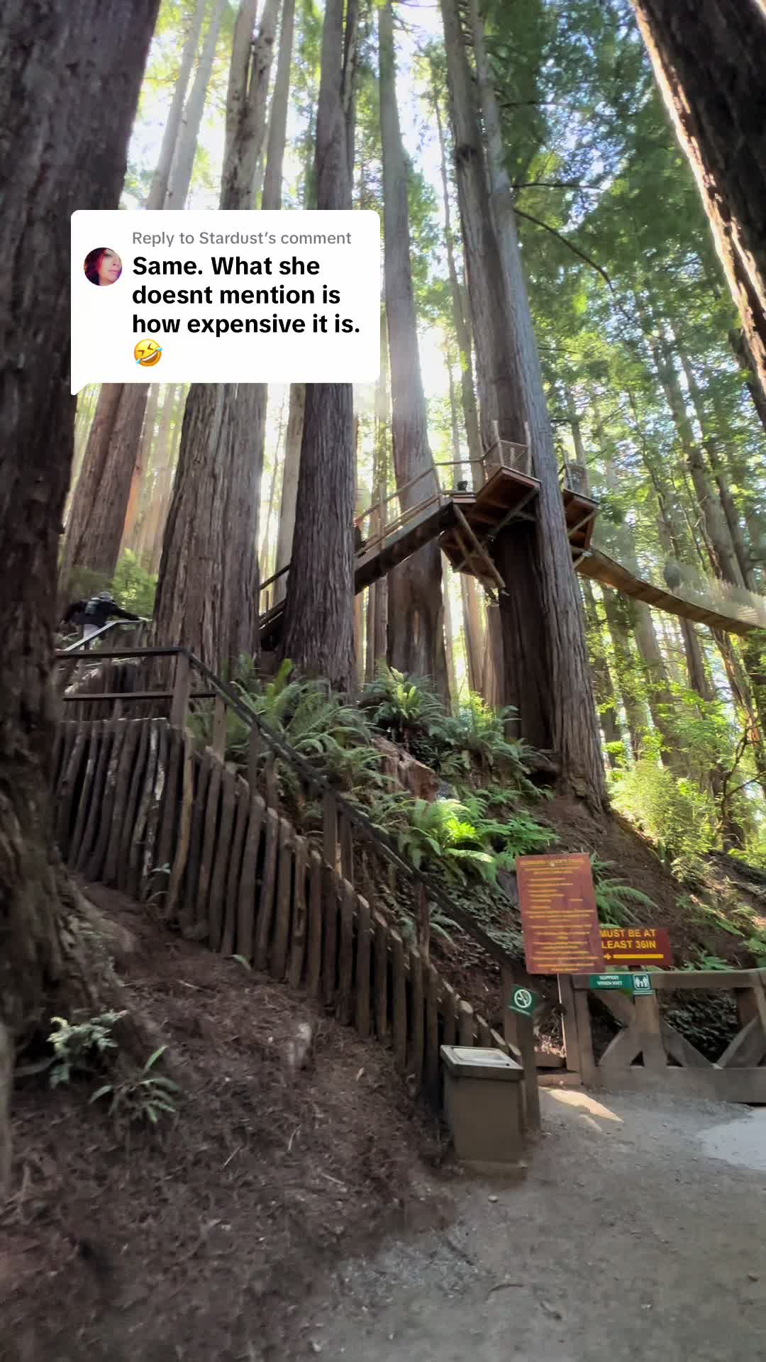bathshevamedia, Trees of Mystery