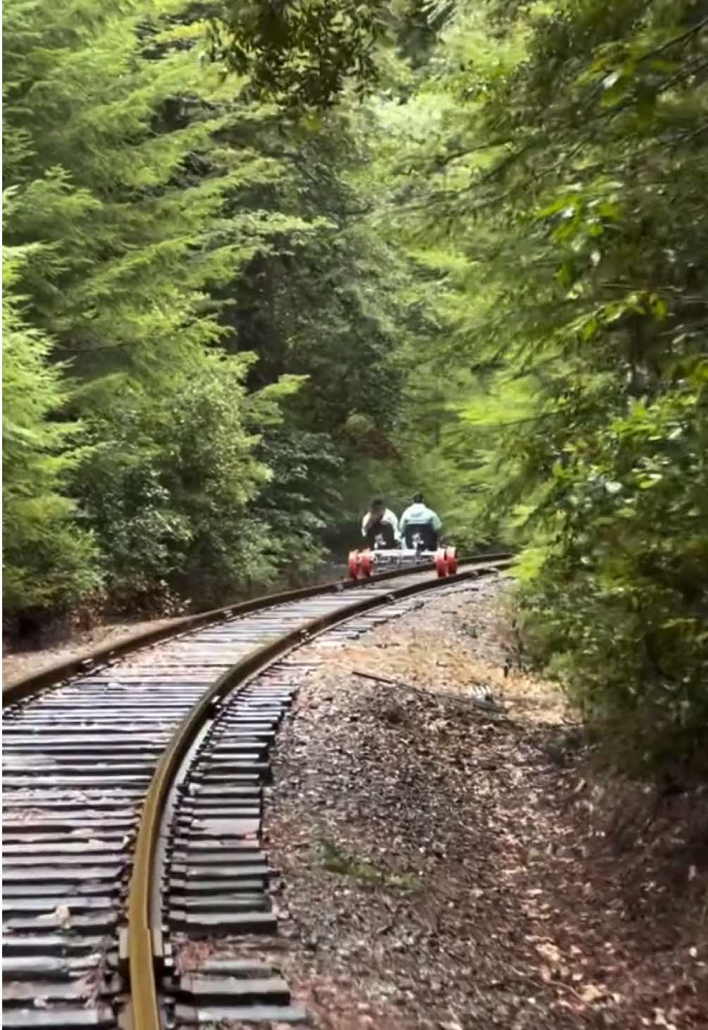 Discover California, Camp Mendocino