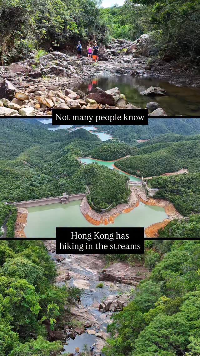 Birdseye Hong Kong, Sheung Tam Stream