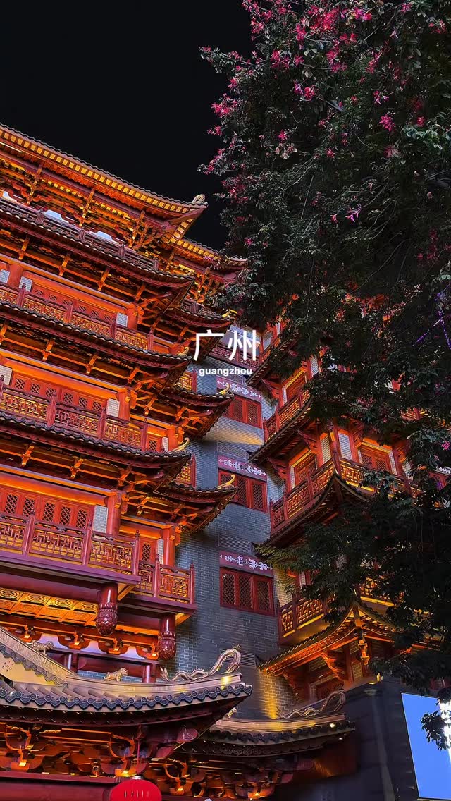 Sher | Travel Creator ✈️, Guangzhou