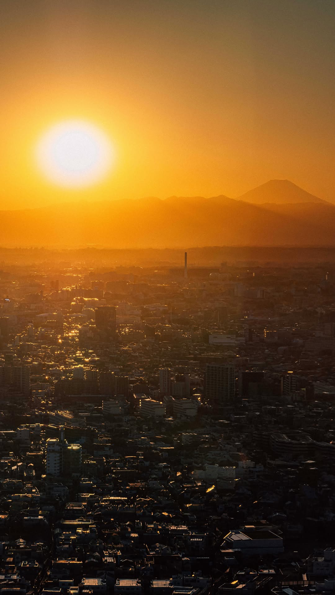 Thomas Lotter, Tokyo Metropolitan Government Building