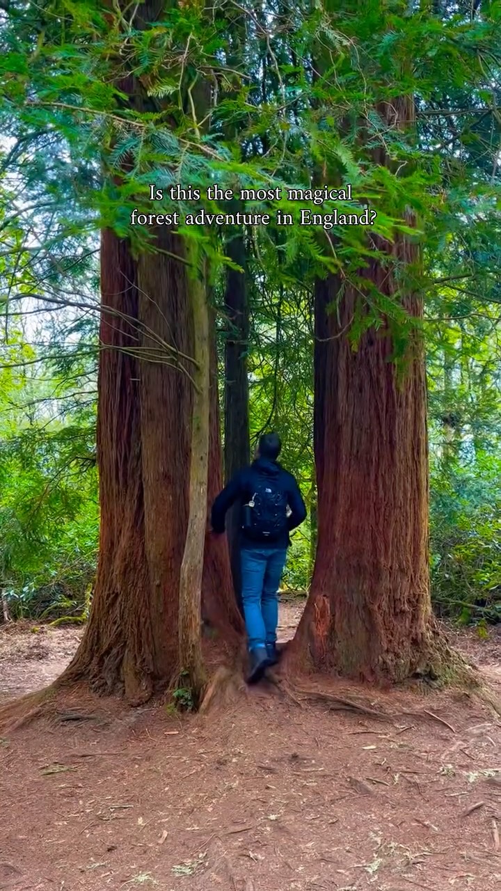 Yujin from Korea | UK & Beyond, Hawkstone
