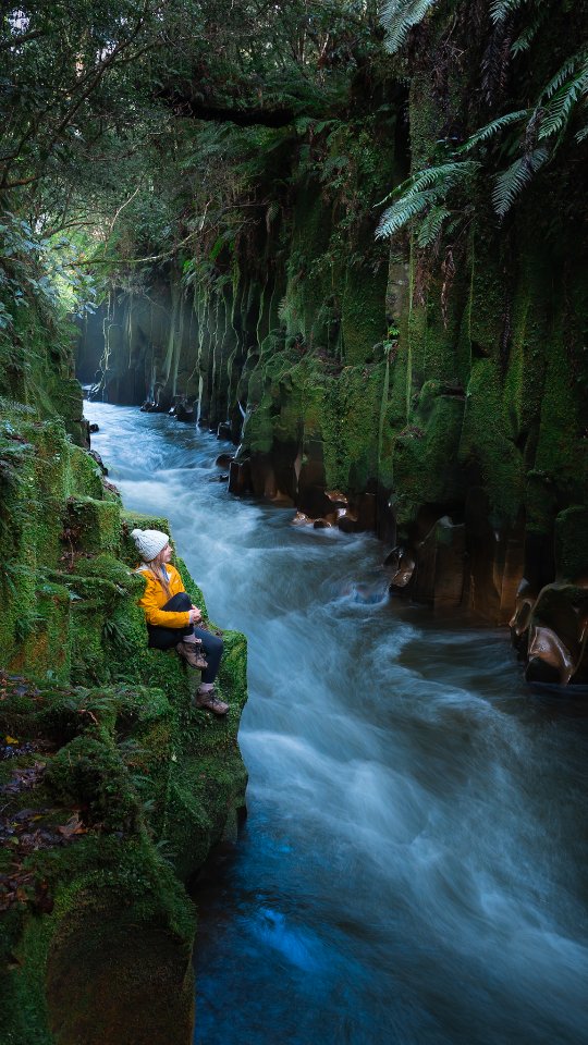 Kristina | New Zealand Travel, Hiking & Outdoors, Blue Spring (Te Waihou Walkway). Leslie Road entrance is closed.