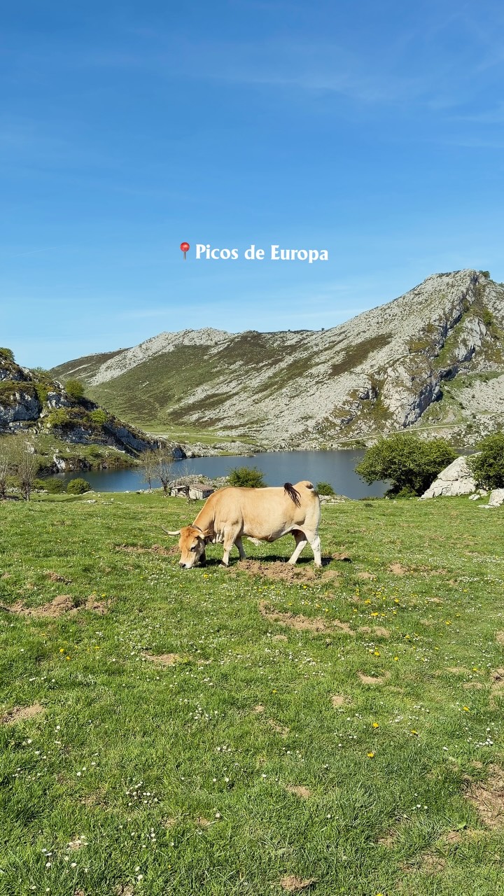 Iris & Gert | Travel Bloggers 🇧🇪, Picos de Europa