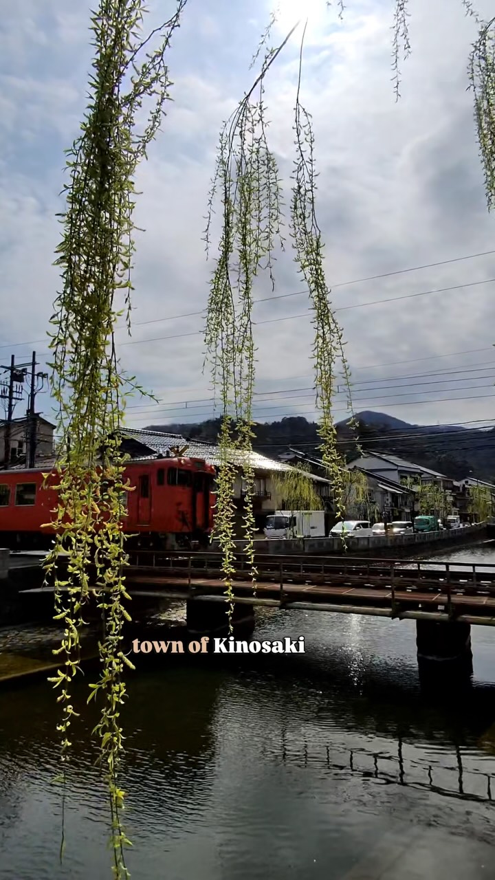 Lorah, Kinosaki Onsen