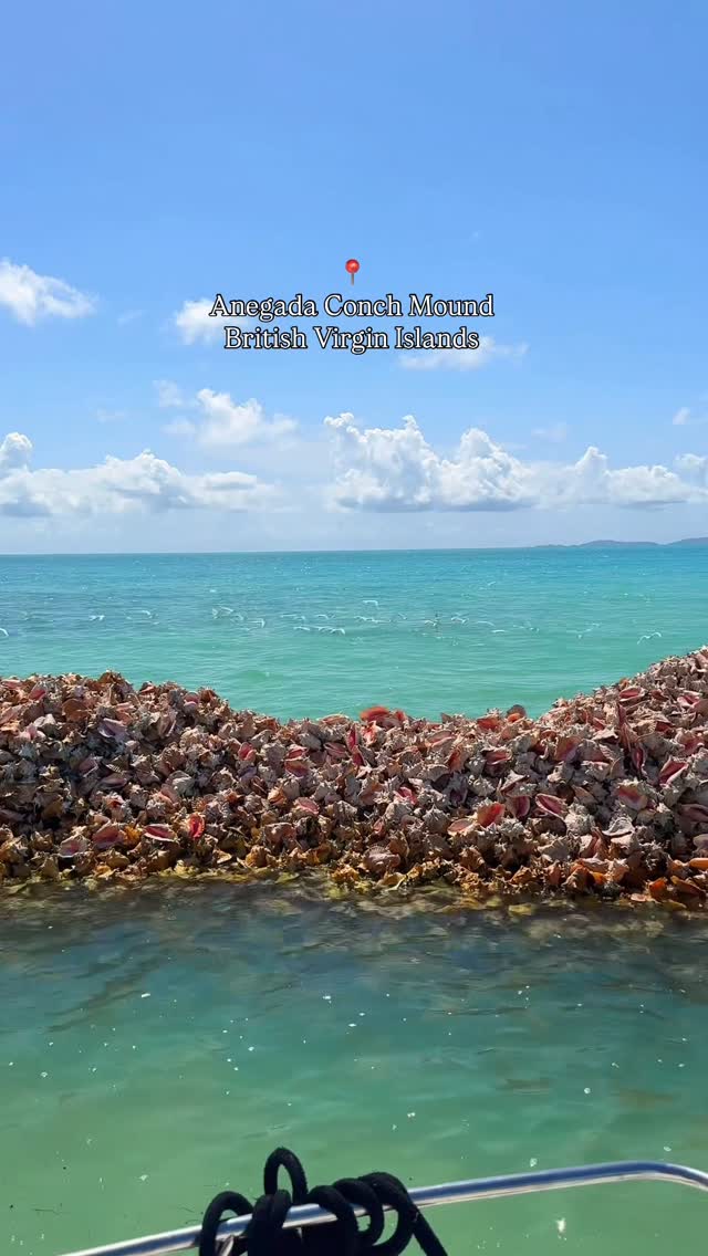 Amorray Marcano, Anegada