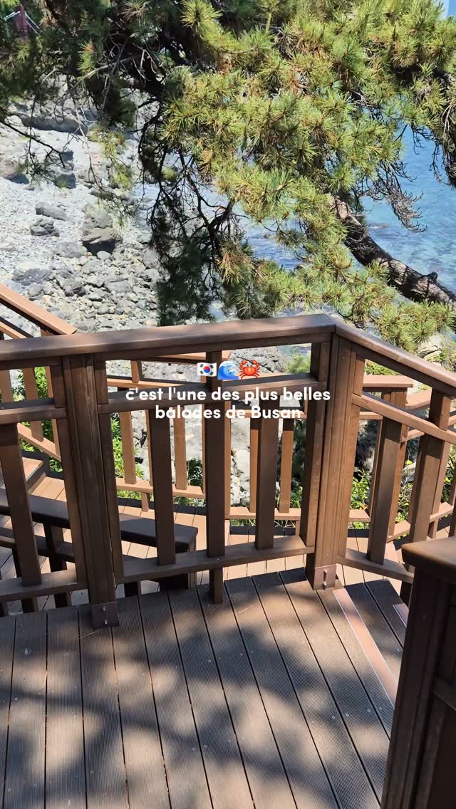 Mégane | Corée du Sud, Haeundae Beach
