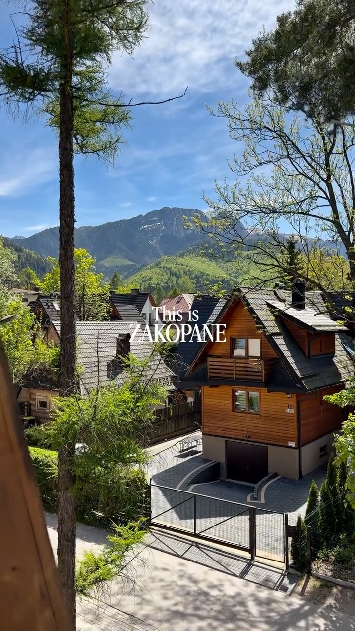 Sam | Hiking | Running | Pint'in, Zakopane