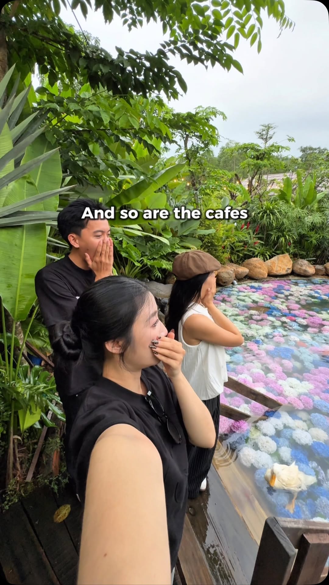 Cái Tổ Chim, Cái Tổ Chim