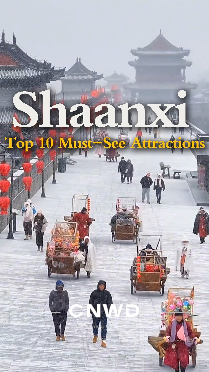 China Wandering - CNWD Travel, Emperor Qinshihuang's Mausoleum Site Museum