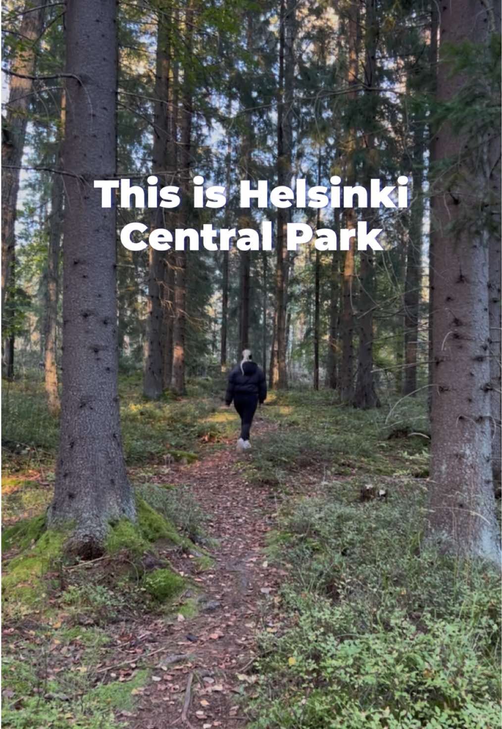 Visit Finland, Helsinki Central Park