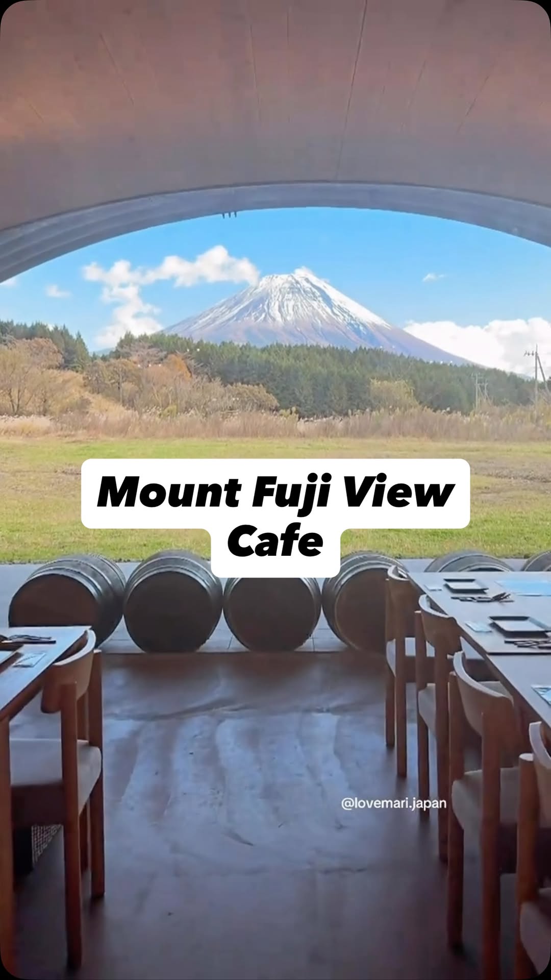 Japanomnom, Mount Fuji