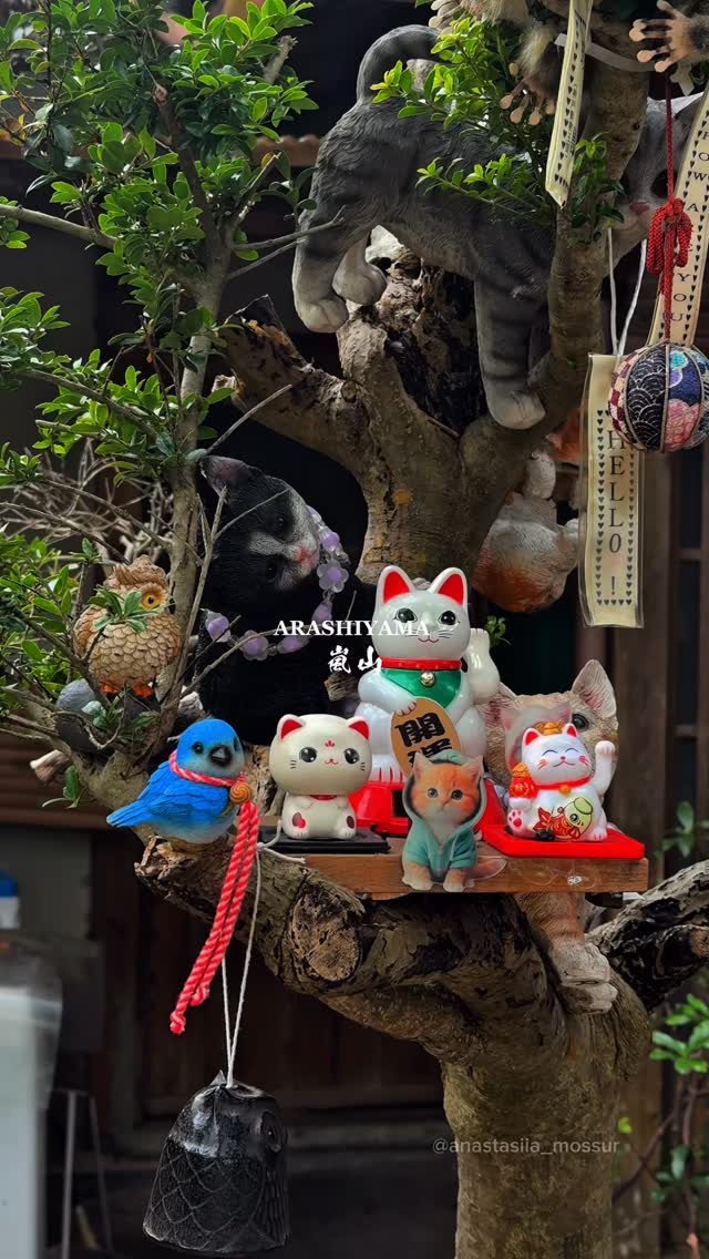 anastasiia ✈ world travel, Arashiyama Bamboo Forest