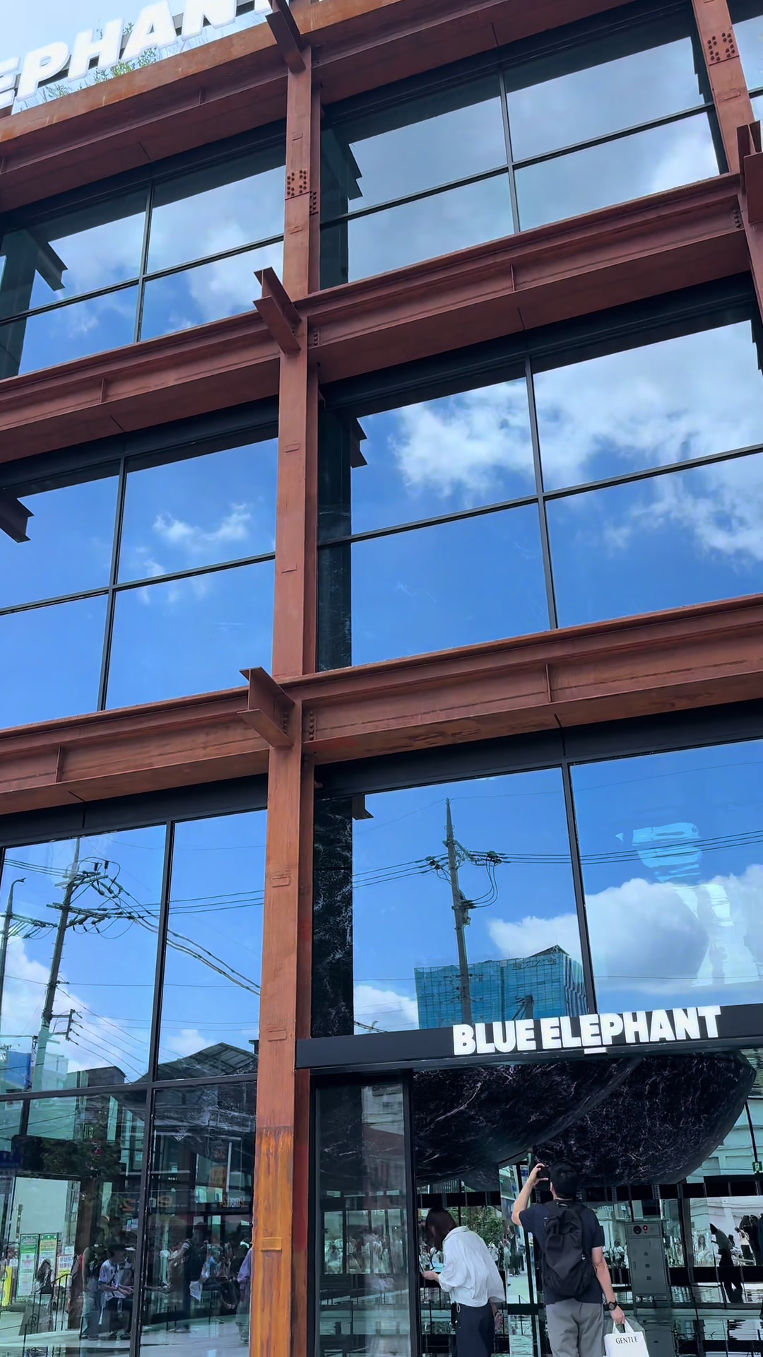 Cindy, 블루엘리펀트 홍대 플래그십스토어 BLUEELEPHANT HONGDAE FLAGSHIP STORE