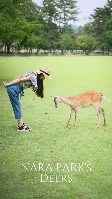 Cheesieチージー, Nara Park