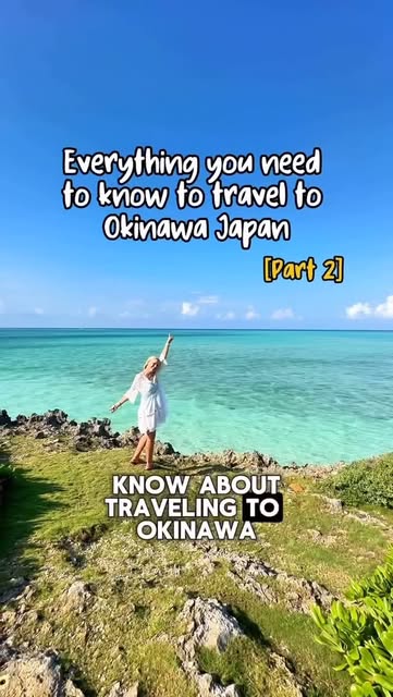 Japan Travel by the-savvytourist.com, Okinawa Churaumi Aquarium