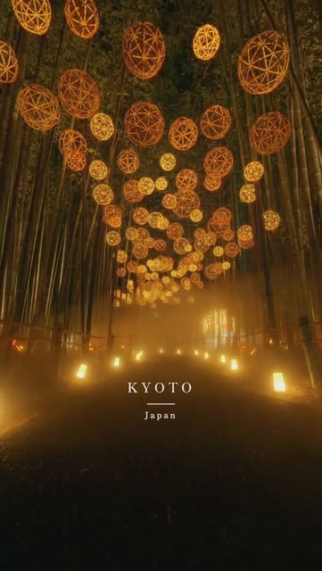 Takashi Film, Arashiyama Bamboo Forest