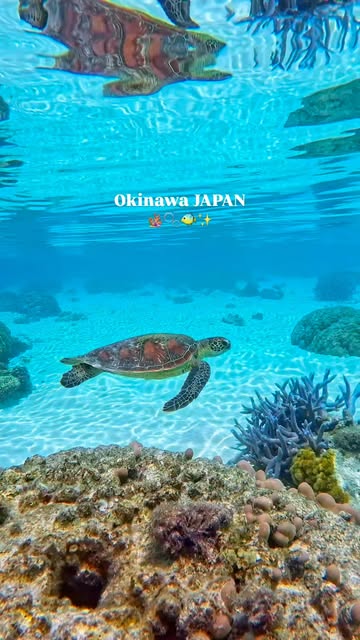 沖縄 カメラマン／中嶋 環, Okinawa