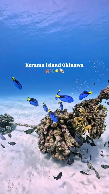 沖縄 カメラマン／中嶋 環, Kerama National Park