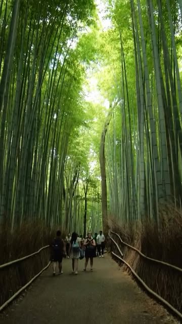 Sya | Travel Videography | 旅行撮影, Hakone