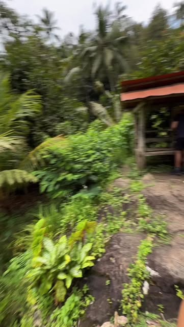 Nicole Buhrmann, Sekumpul Waterfalls Official Parking