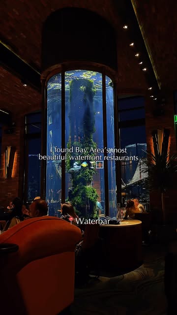 Jesse Vicario, Waterbar Restaurant