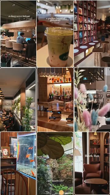 Coffee & Cowork ☕ Cafes, Travel, Remote Work, Dual Citizen