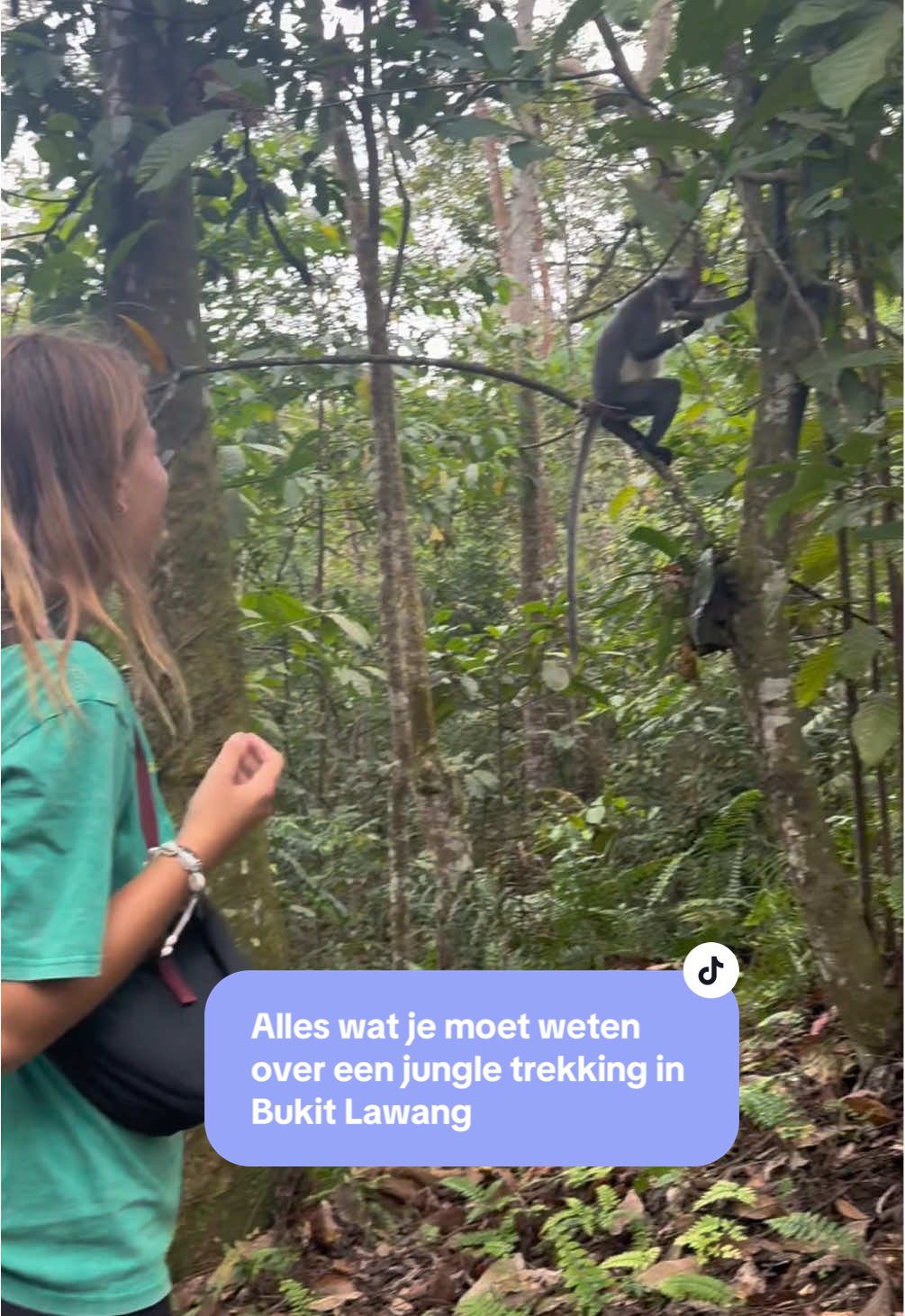 🌺 Anouk | Travel ✈️, Bukit Lawang