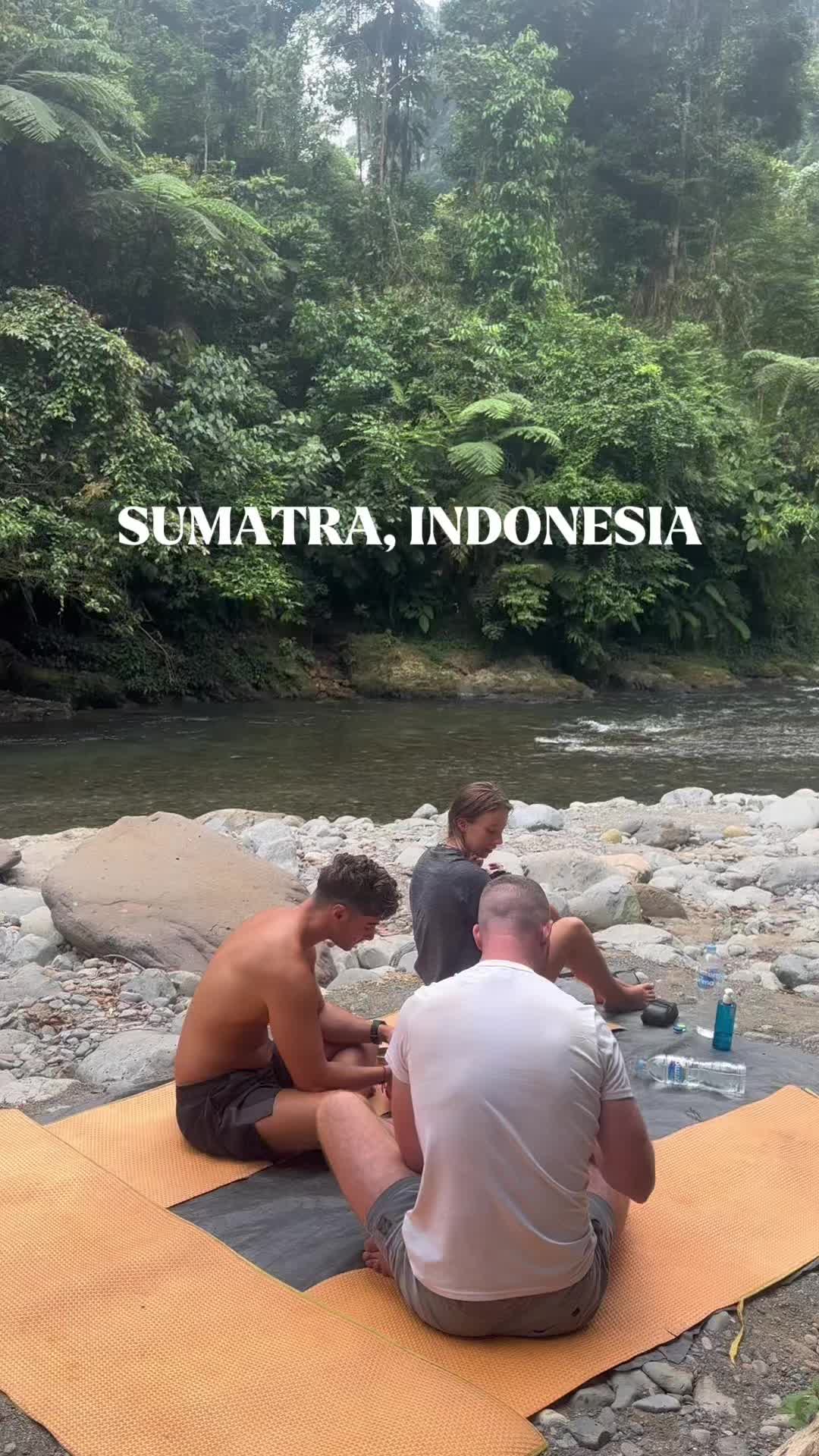 Katy, Bukit Lawang