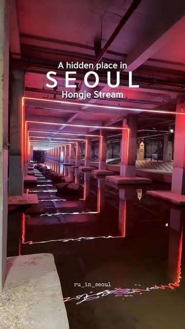 루루 & 보위, Cheonggyecheon
