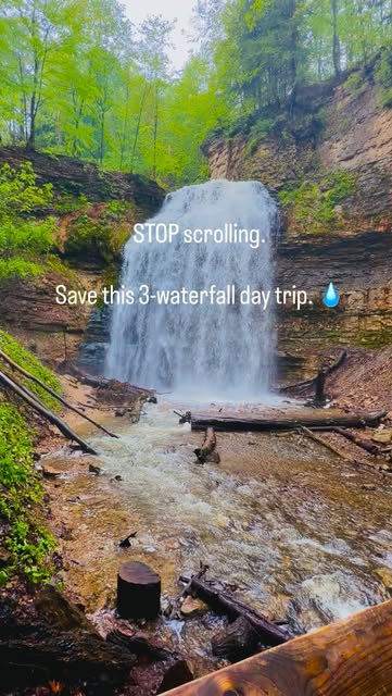 Chase The Waterfalls, Webster's Falls