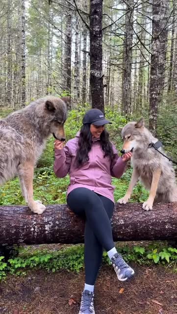 Lauren | PNW travel and hiking guides, Olympic National Park