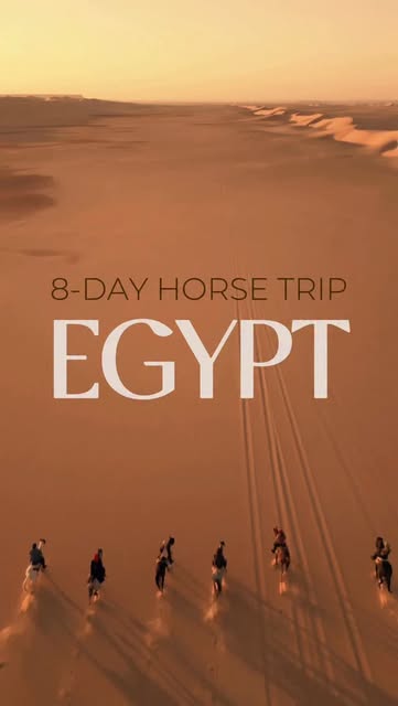 Horse Trips Egypt | Group Rides for all levels, The Great Pyramid of Giza