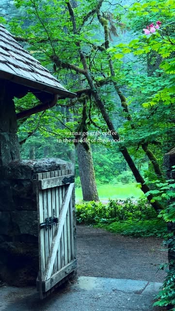 Karmen Cook | Hikes & Adventure Travel, Silver Falls State Park