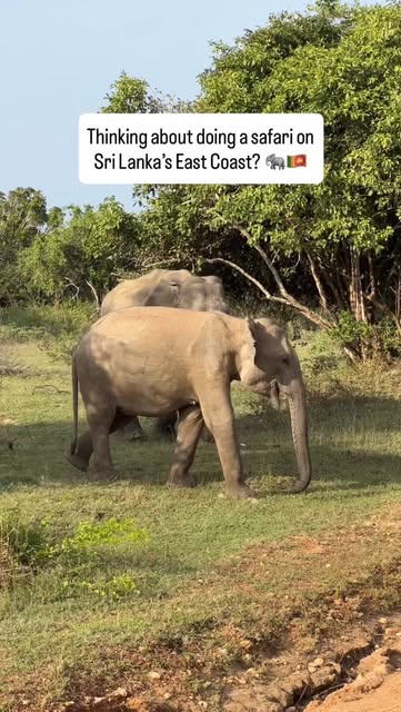 Sri Lanka Bucket List | Ultimate Travel Ebook 🇫🇷🇬🇧, Arugam Bay Beach