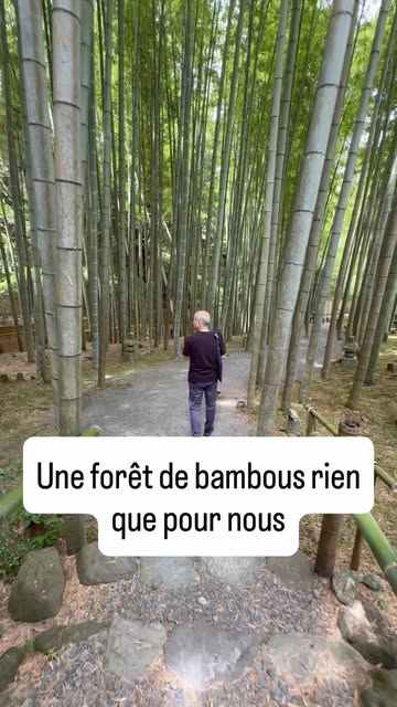 TAKUMI CHIKUMA ｜ Curieux du japon, Arashiyama Bamboo Forest