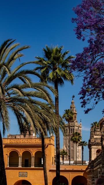 JUSTIN & LINDSAY | Food, Brews, & Outdoor Adventures, Royal Alcázar of Seville