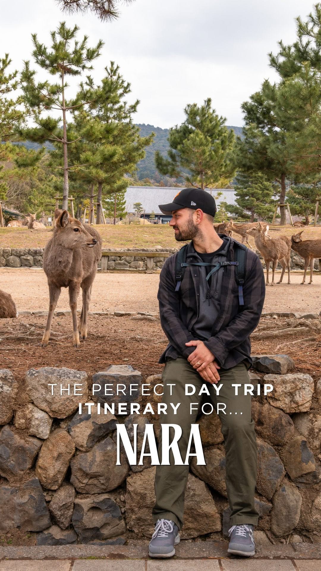 Mia & Lev | Curated Travel Destination Guides, Nara Park