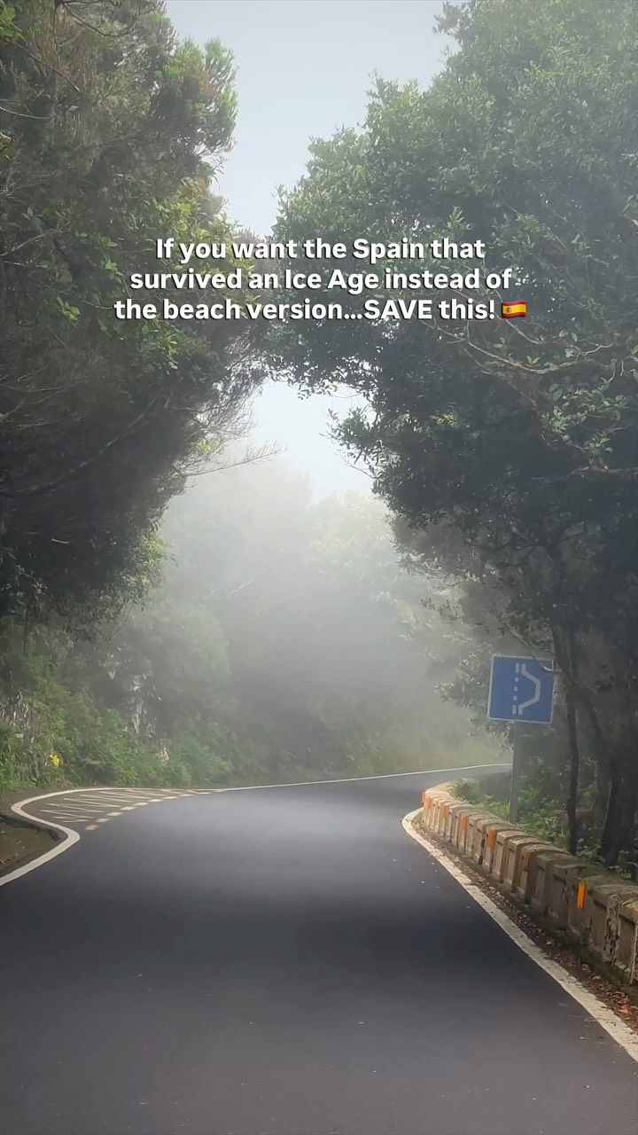 Karen Lee | Travel Creator | USA, Parque Rural de Anaga