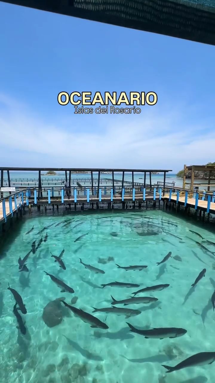 PARADISE CARTAGENA TOURS, Isla del Rosario