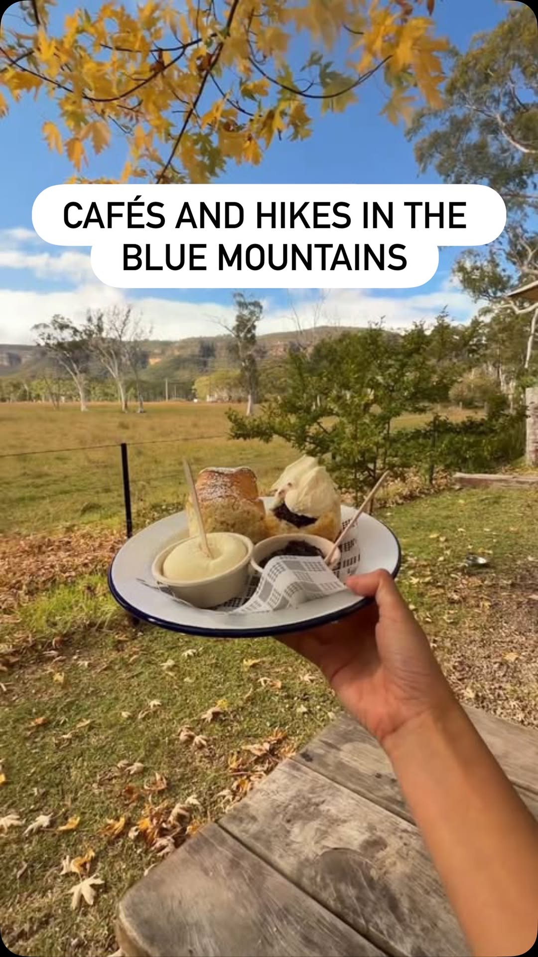 New South Wales, Grand Clifftop Walk