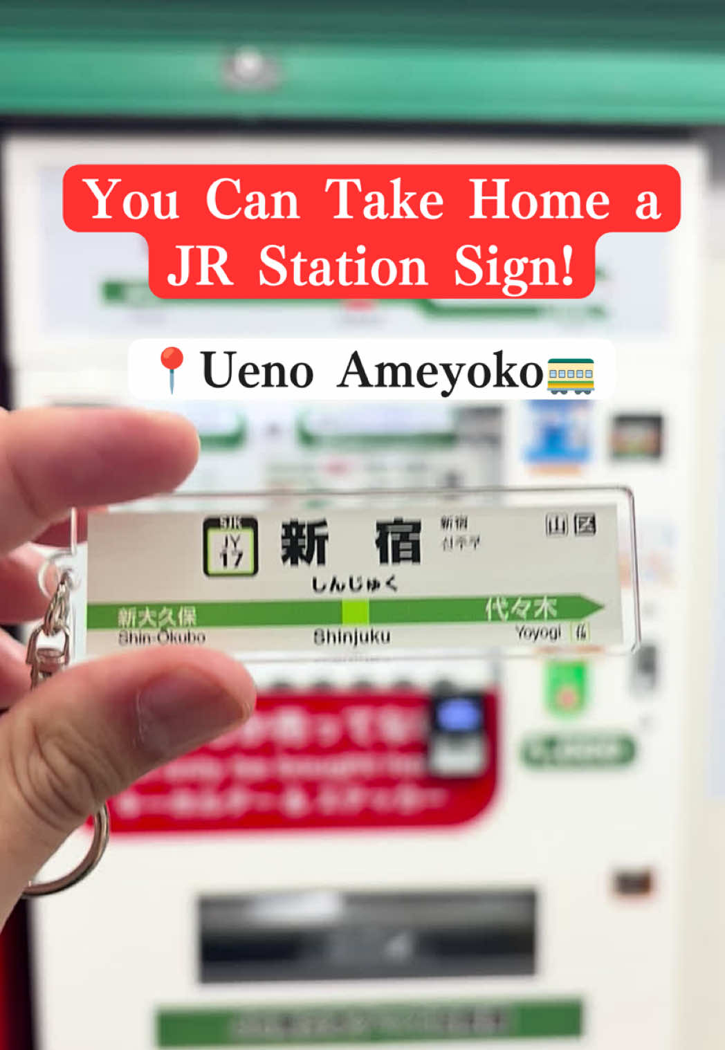 BringJapanHome, Ueno Ameyoko Shopping Street