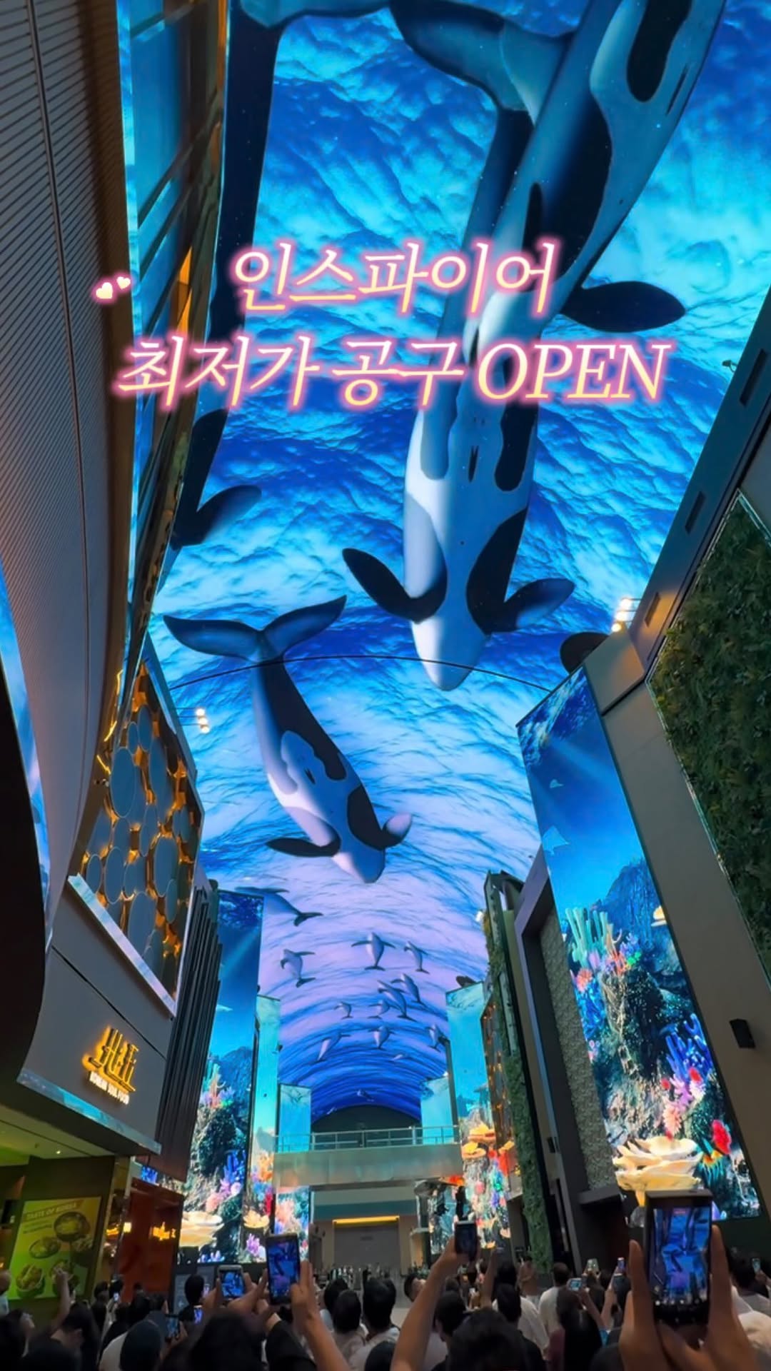 캠핑ㅣ여행 🏕캠핑에미치다🏕, 르 스페이스 인스파이어(Le Space)