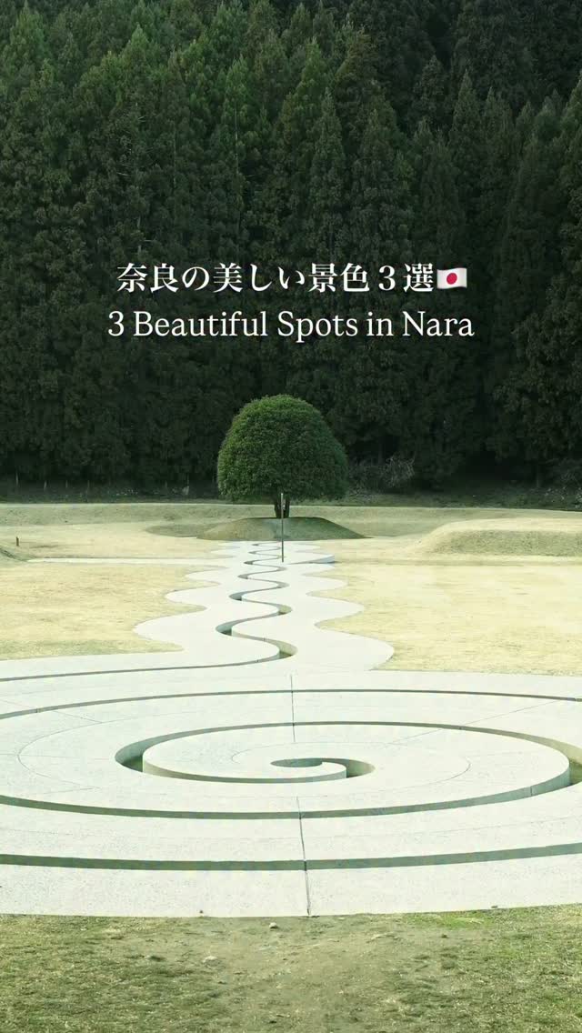 keen｜Nara Photographer, Nara Park