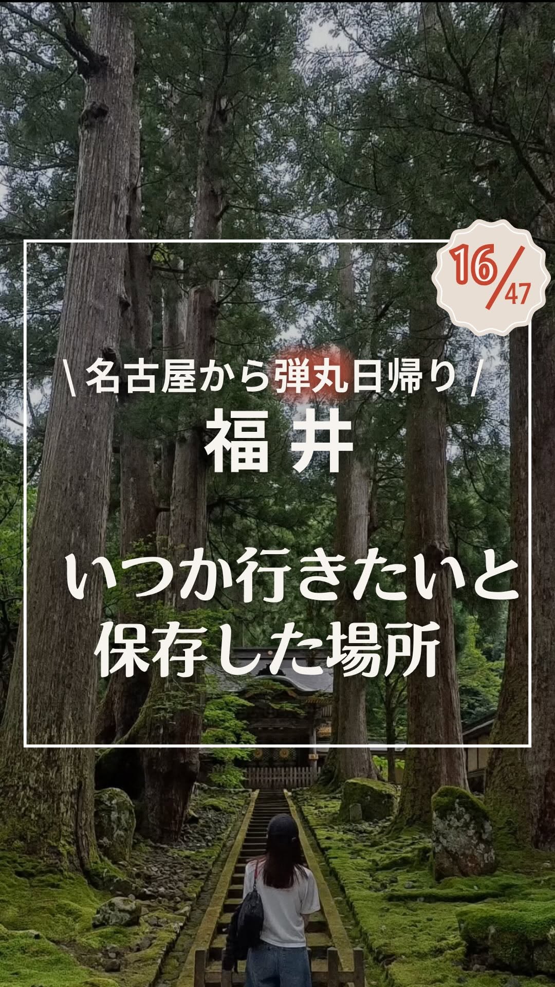 Nami | 弾丸トラベラー主婦, Echizen Daibutsu