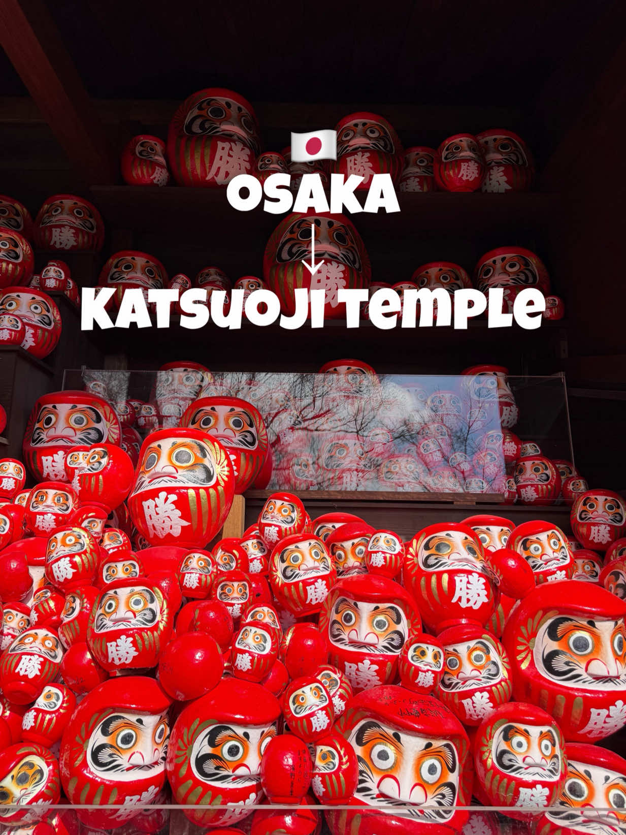 dorci.travels, Katsuoji