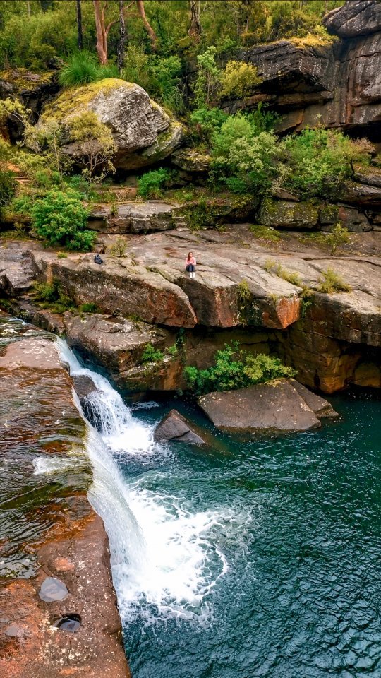 NATURE LOVE AUSTRALIA 🌴, Dharawal National Park