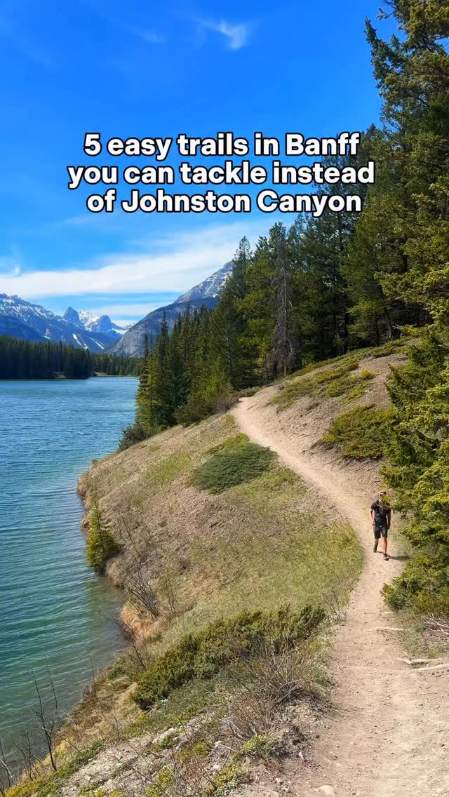 Tasha + Cam | TheBanffBlog, Johnston Canyon